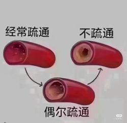 -玛莲朵·海菲秀冰珀科
