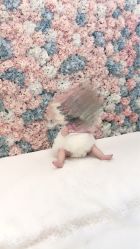 -布恩儿童摄影