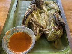 -杨合林啊兰烤鱼