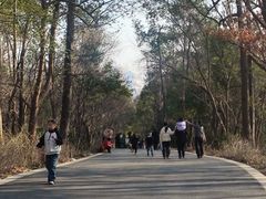 -合肥野生动物园