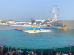 -秦皇岛乐岛海洋王国