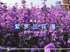 -顺峰山公园
