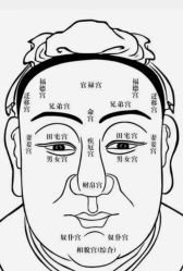 -YESIDO椰岛美容