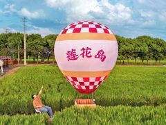 -莲花岛景区