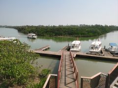 -东寨港红树林旅游区