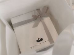 -BLACKSWAN黑天鹅(环球店)