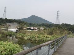 -西湖风景区-江洋畈生态公园