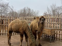 -水上乐园·欢乐世界