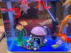 -海底捞火锅(武胜路凯德广场店)