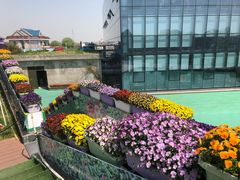 -南通洲际绿博园