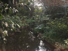 -新湖明珠城