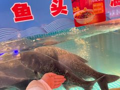 -鸽子侯·家宴·平价海鲜(市图书馆店)