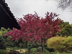 -杭州植物园