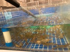 -小时候焗海鲜(鄞州万达店)