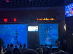 -太平洋海底世界