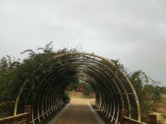 -同里国家湿地公园