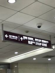 -复旦大学附属妇产科医院(杨浦院区)