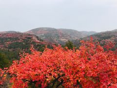 -鬼笑石后山停车场