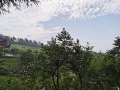 -游子山休闲旅游区