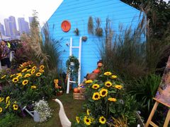 -重庆市江北嘴中央商务区中央公园