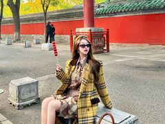 -北京国子监胡同