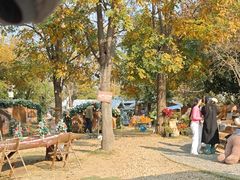 -HERRE·FARM 赫尔露营农场·团建聚会包场