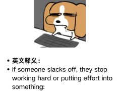 -I-Shine英语国际教育(御桥张江中心)
