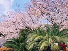 -上海体育场(地铁站)