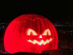 -拉斯维加斯永利酒店