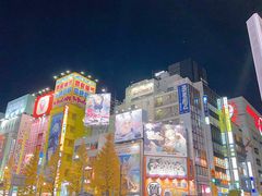 -Animate(秋叶原本馆)
