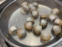 白贝拼珍珠贝-青蓬蒸汽海鲜·深圳老字号·团建聚会(壹方城店)