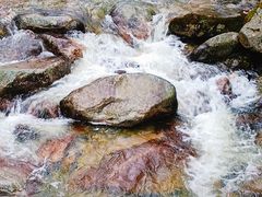 -黑河国家森林公园