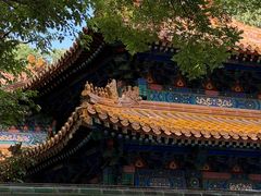 -北京国子监胡同