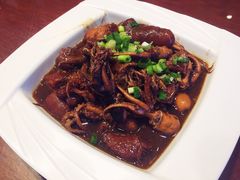 活八爪鱼炖肉-赶海部落海鲜城(海阳路店)