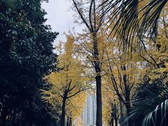 -苏州河梦清园环保主题公园