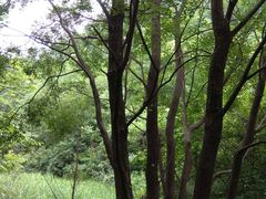 -伏牛地下河景区