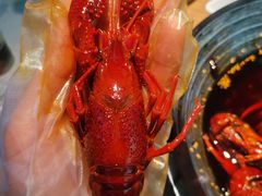 -肥肥虾庄·金牌油焖大虾(沙湖店)