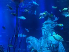 -沈阳海洋探索中心