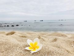 -半山半岛洲际度假酒店·观海廊