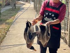 -亲子百果农庄