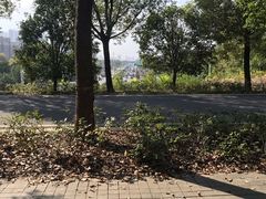 -武汉园博园(武汉自然博物馆)