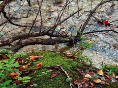 -玉渡山自然风景区
