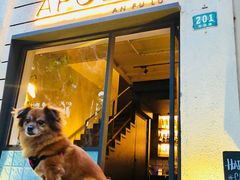 门面-Apollo·西班牙小酒馆(安福路店)