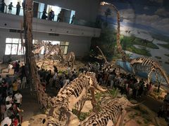 -自贡恐龙博物馆