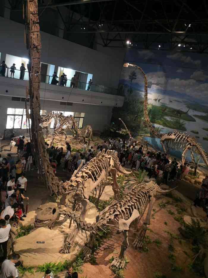 自贡恐龙博物馆