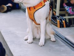 -微焙咖啡工厂(海峡创意产业园·红坊店)