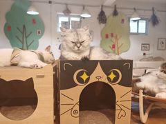-小时光咖啡馆(北锣鼓巷店)