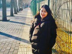 -三里屯东五街银杏大道