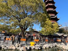 -龙华寺