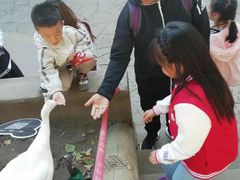 -哈尔滨北方森林动物园